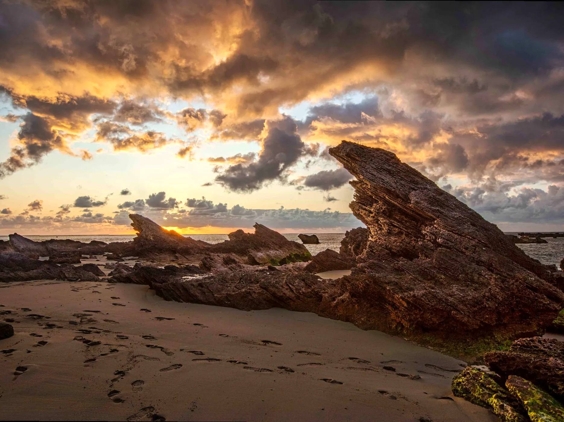 Experience Scenic Vistas at Signal Point on Your Hike