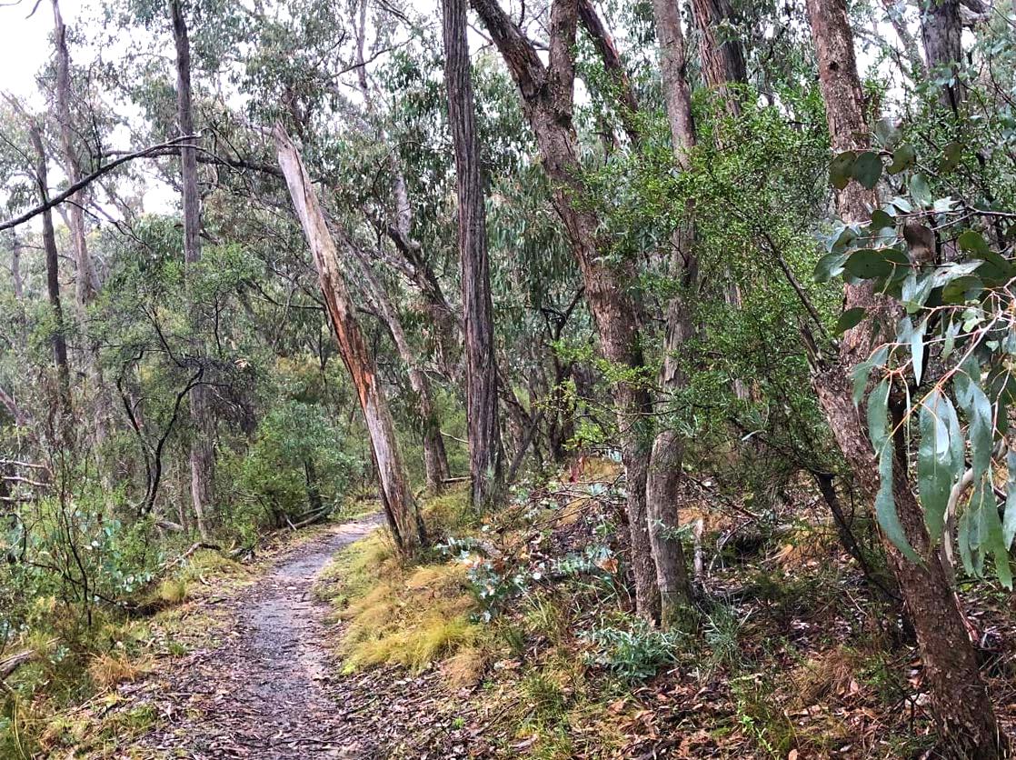 Explore the Hidden Trails of the Lost Children