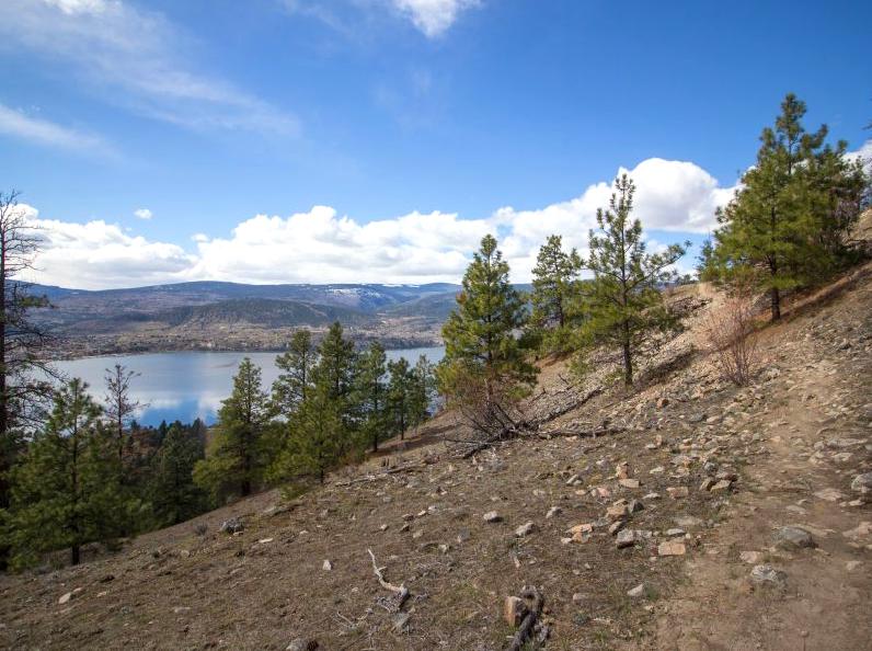 Tackle the Tough Trails of Mount Difficult