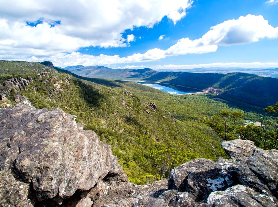 Understand the Park's Fire Legacy and Restoration