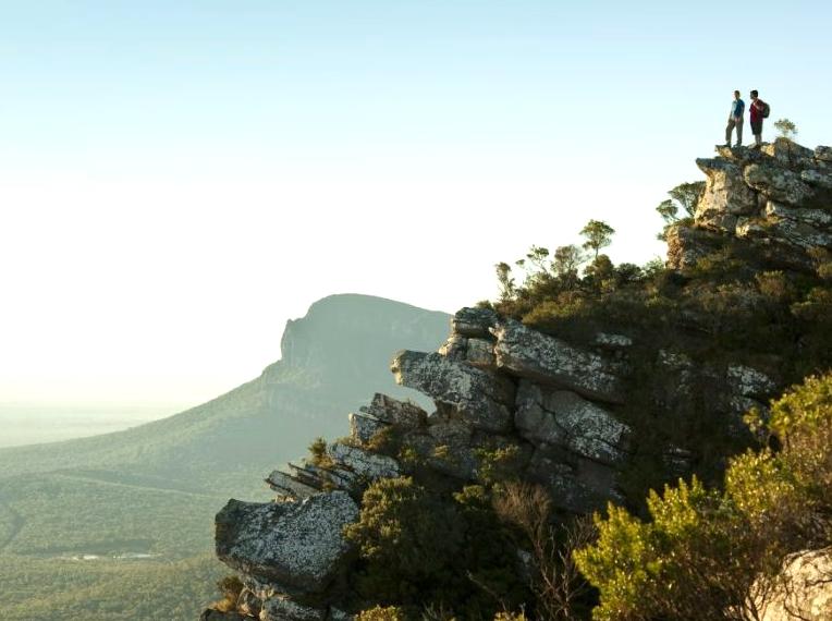 Learn About the Park's Fire Legacy and Ecosystem Recovery