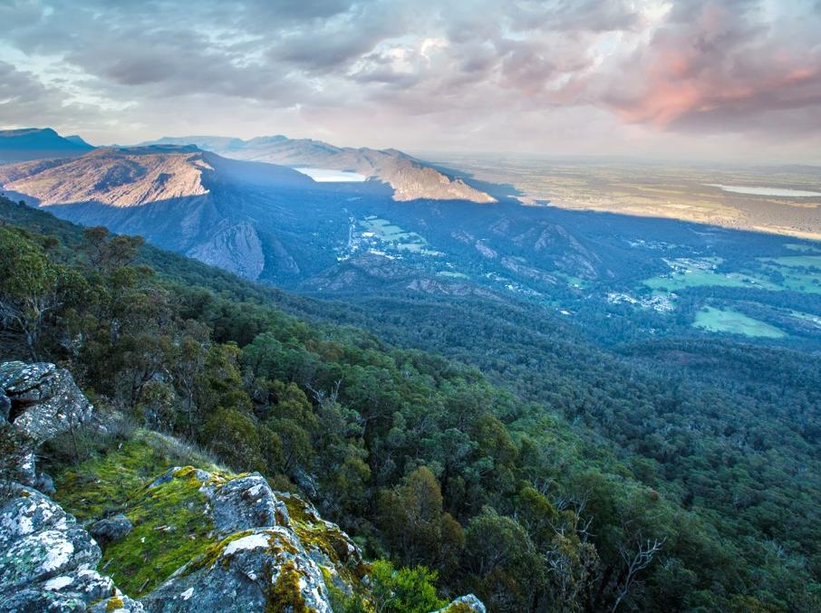 Investigate the Park's Fire Impact and Recovery Efforts