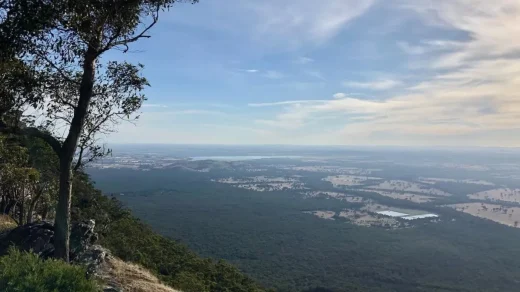 Top 5 Grampians Wildflower Walks in Spring