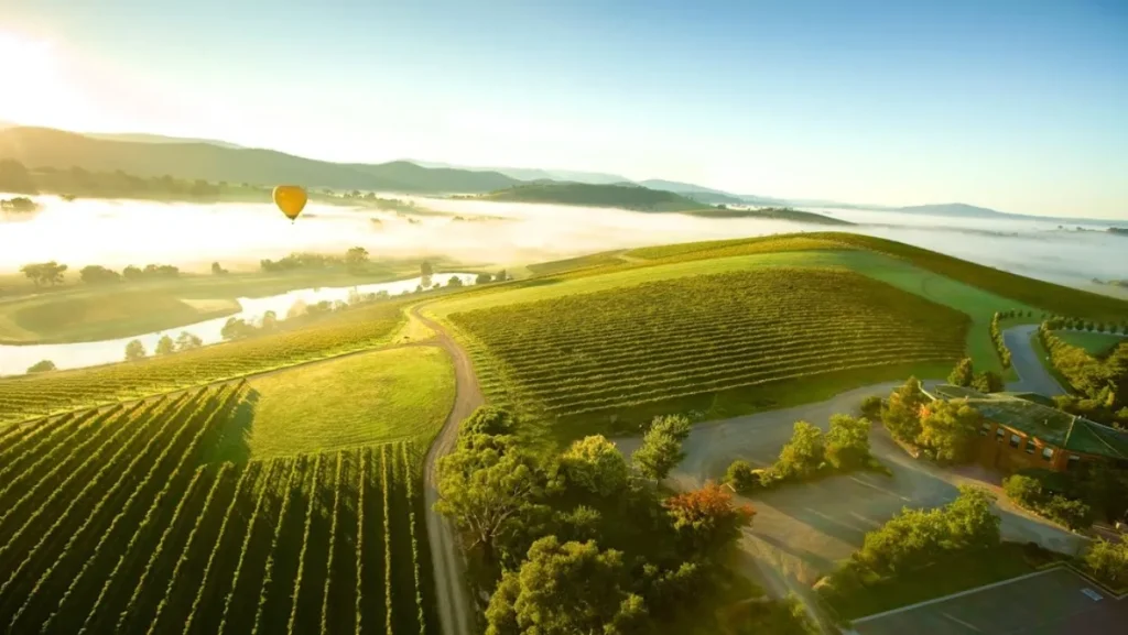 Yarra Valley tour from Melbourne