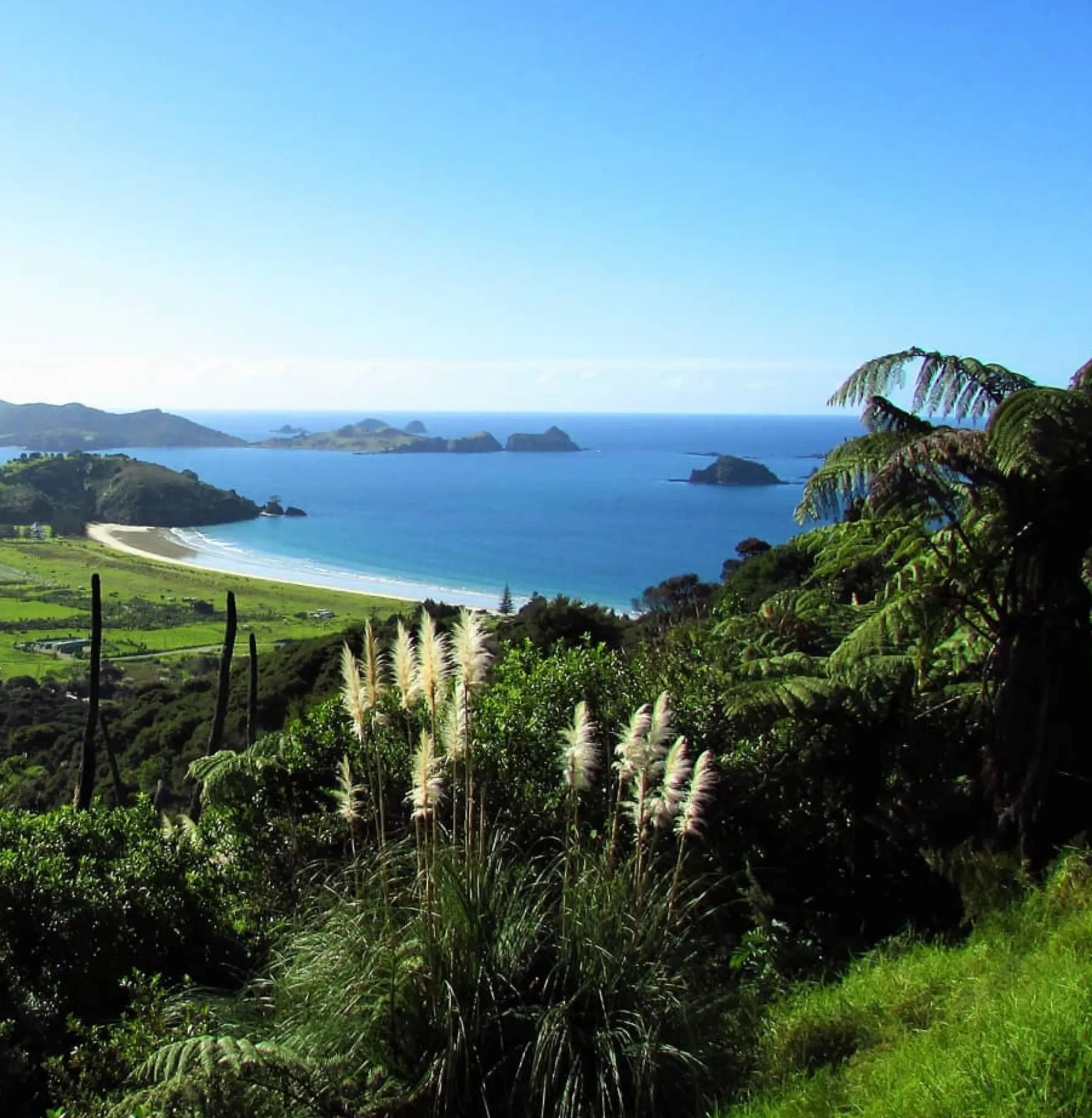 3 day Great Ocean Road tour