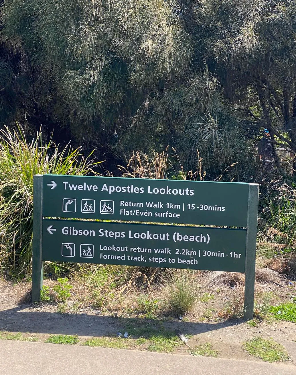 Conservation Efforts, 12 Apostles