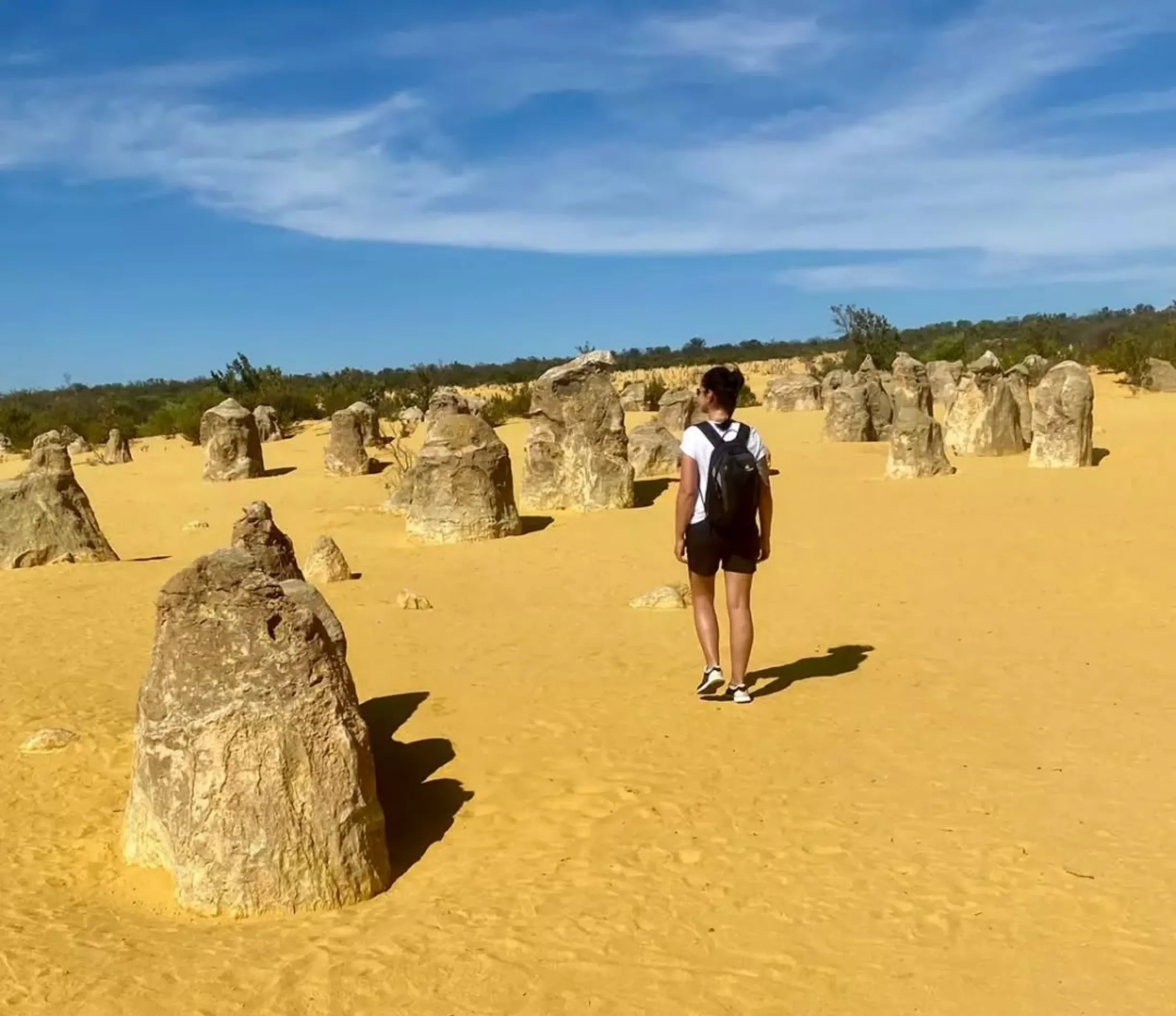 hiking boot, Pinnacles