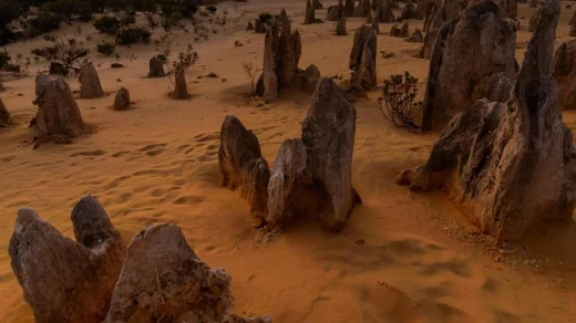 Walk Up the Pinnacles