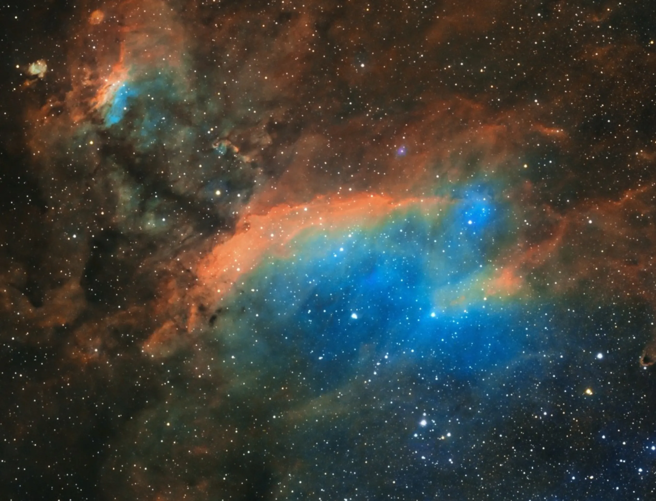 Fogg Dam stargazing